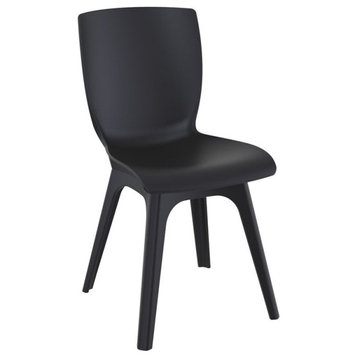 Compamia Mio Dining Side Chair in Black