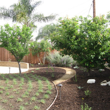 Drought Tolerant Back Yard Garden