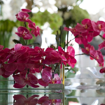 Emilio Robba Fuchsia Orchid in Glass Plate Vase