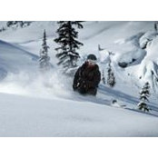 Howard Wiseman's photo