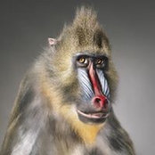 Foto von AnDrew Ayers