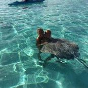 Virginie Vanbleus Becuwe's photo