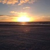 Donna Britt Adams's photo