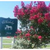 Whitehedge Farm's photo