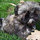 sandy_terwilliger