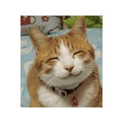 Itlog Itlog's photo