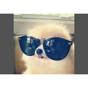 Eye Holicss billede