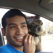 Jonathan Nguyen's photo
