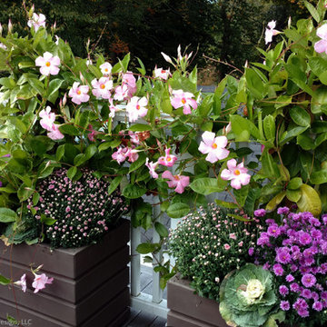 Planter & Container Garden Design - Fairfield County, CT