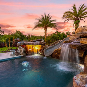 Tropical Oasis