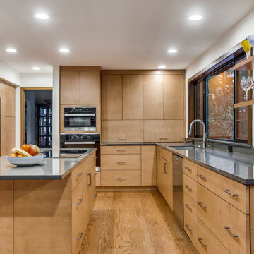Mid Century Modern - Seattle Metro