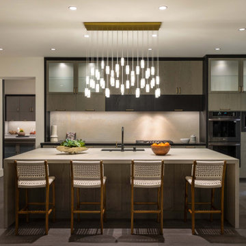 San Clemente Modern
