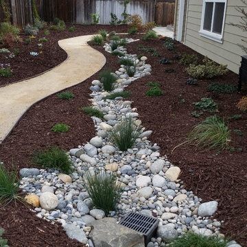 Natural Drainage