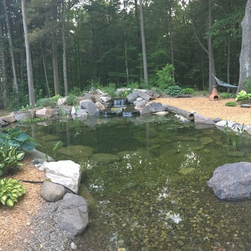 Back yard Oasis