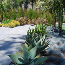 Front Yard Selected