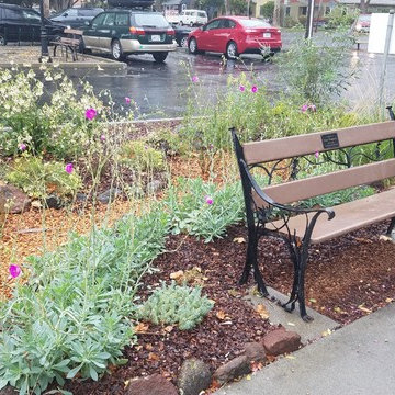 Davis Food Coop Phase 1