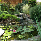 Japanese inspired garden