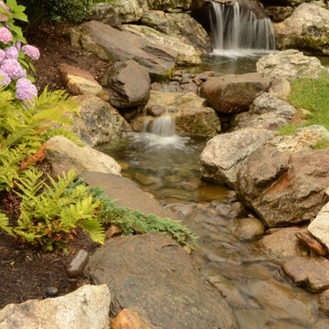 Water Feature