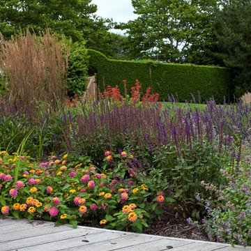 Deer Resistant Garden