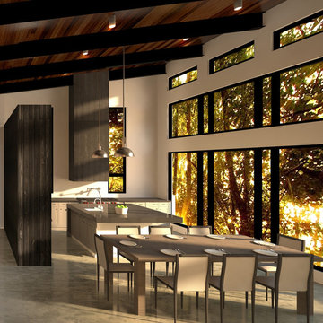 Modern Edge House - Sewickley, PA