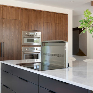 N44° 56' 06" | Bde Maka Ska | Modern Minneapolis Home