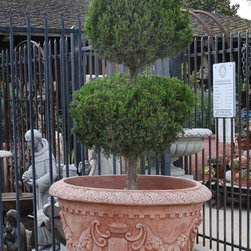 Topiary at the Entrance - Outdoor Pots And Planters