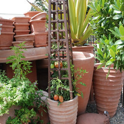Edible Container Gardening - Outdoor Decor