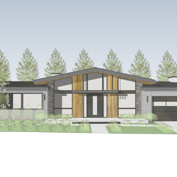 Los Altos Contemporary III