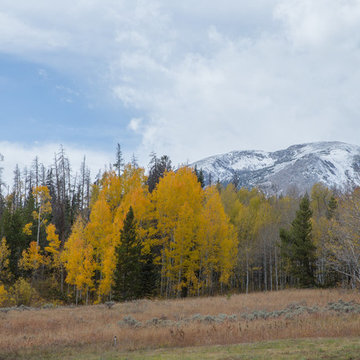 Thornview Retreat
