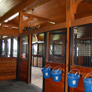 Equestrian