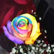 Salvatore Andreoli's photo