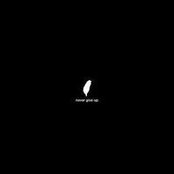Christopher Lupke's photo