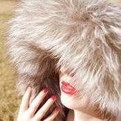 Ingrid Schmidt's photo