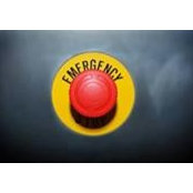 Sam Spino's photo