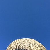 Marisa Flynn's photo