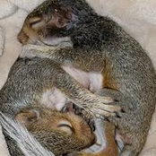 Amy Kiker's photo