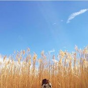 Cynthia Ruiz's photo