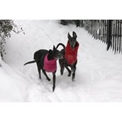 Cynthia Wilber's photo