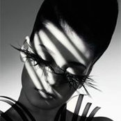 Irina S's photo