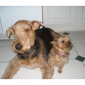 Donna Petersen's photo