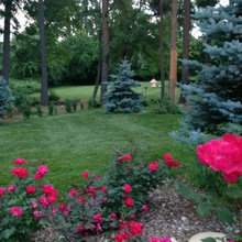 Blessings created in the Whisper Garden