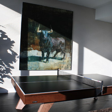 Modern Billiards Table with a Table Tennis Conversion Top by 11 Ravens (Trigon)