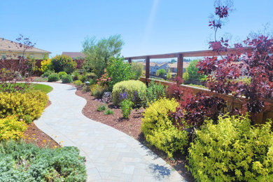 Inspiration for a contemporary backyard concrete paver landscaping in Sacramento.