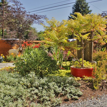 Seattle Yard Undergoes a Transformation