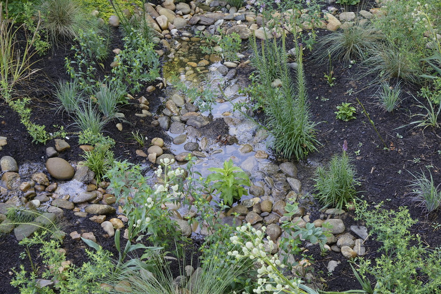 French Broad Rain Garden