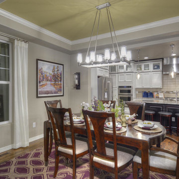 The Carnegie by Campbell Homes in Cordera 2015
