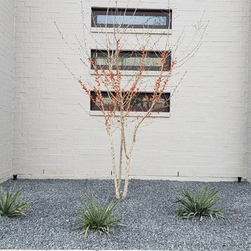Modern but rooted in Texas