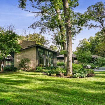 Midcentury Modern Reborn