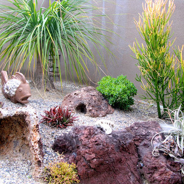 Ocean Inspired Succulent Garden