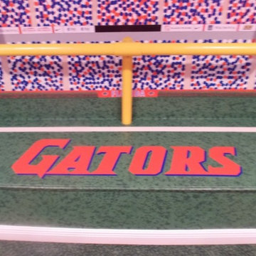 Florida Gators Home Theater